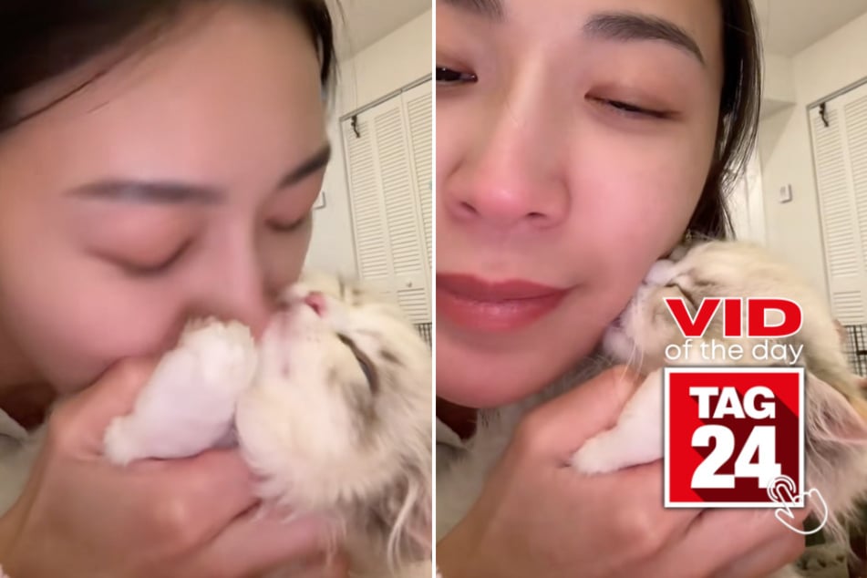 viral videos: Viral Video of the Day for January 24, 2026: This cat is giving kisses back, and the internet is losing it!