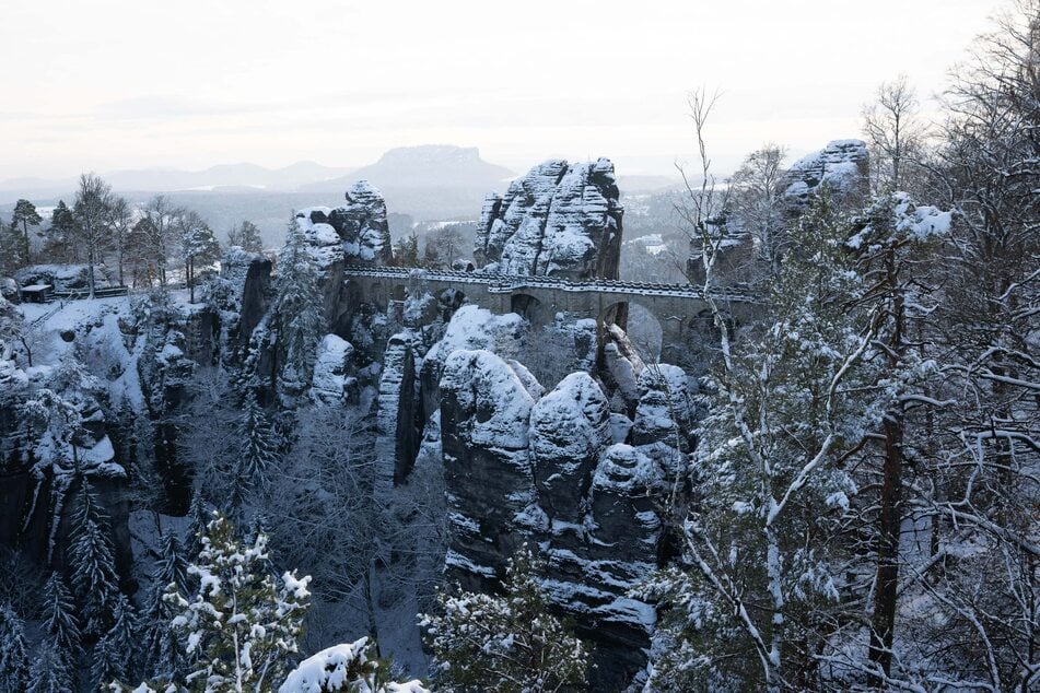 Die Frostwarnung des DWD besteht von Mittwoch, 18 Uhr, bis Donnerstag um 11 Uhr. (Archivfoto)