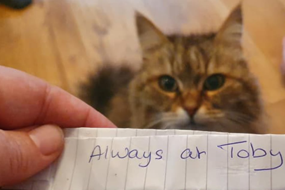 The secret life of pets: woman find out what cat has been up to from note