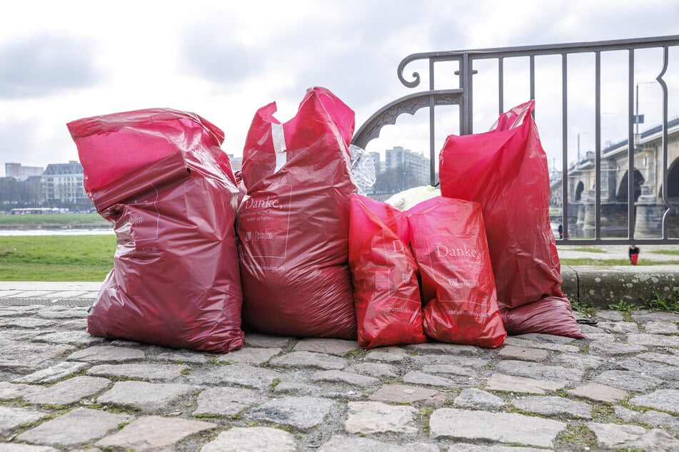 Ergebnis der alljährlichen Putz-Aktion: Viele mit Müll gefüllte Säcke und saubere Wiesen.