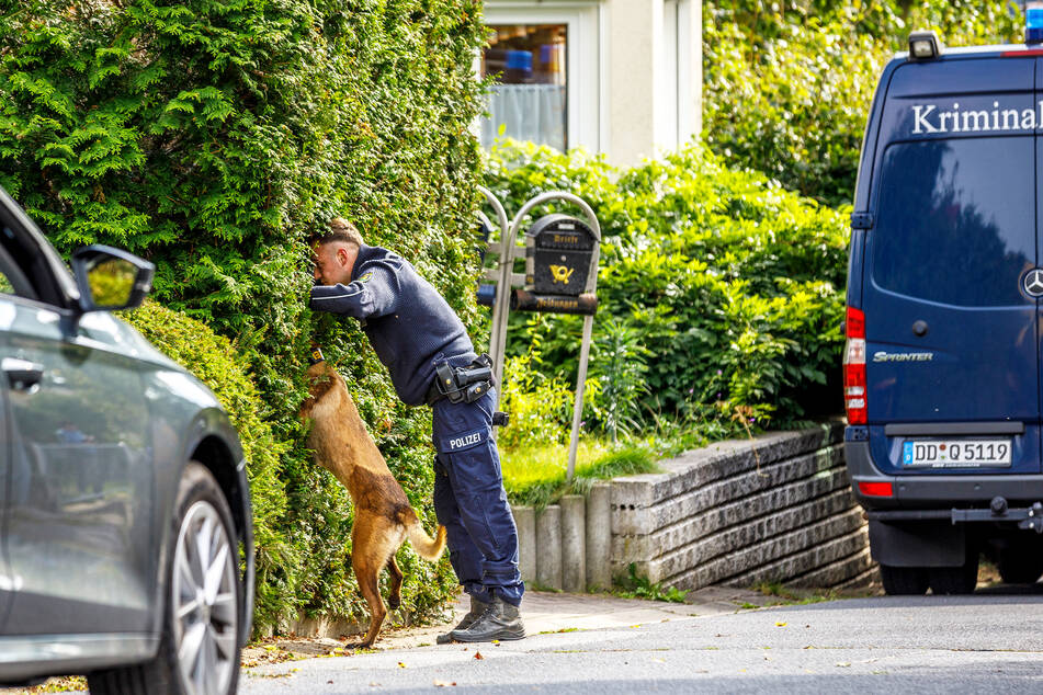 Das mit 500 Euro prämierte Foto von TAG24-Fotograf Eric Münch dokumentiert die Spurensuche.