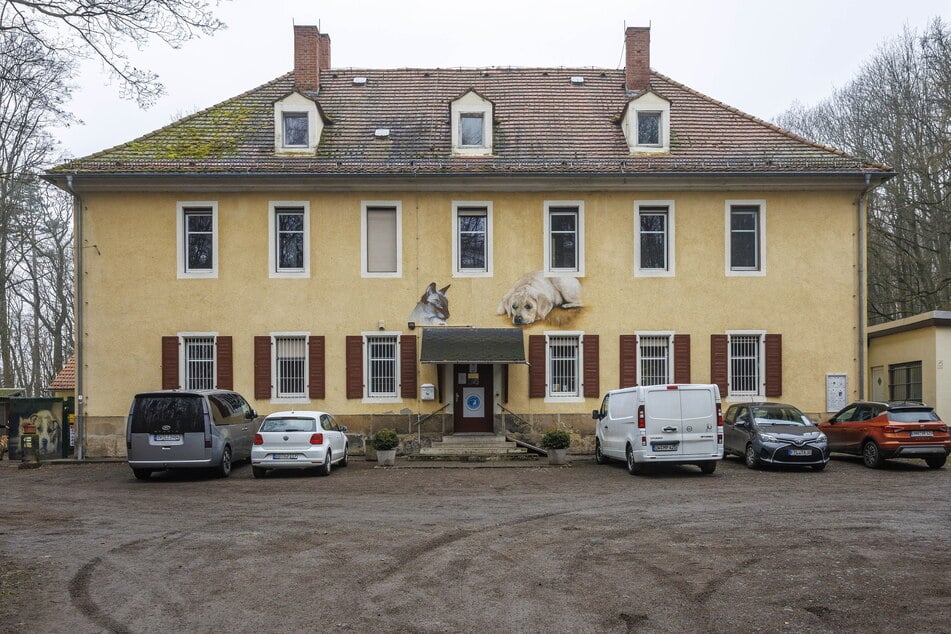 Das Tierheim in Freital bietet Tieren ohne Zuhause Schutz.