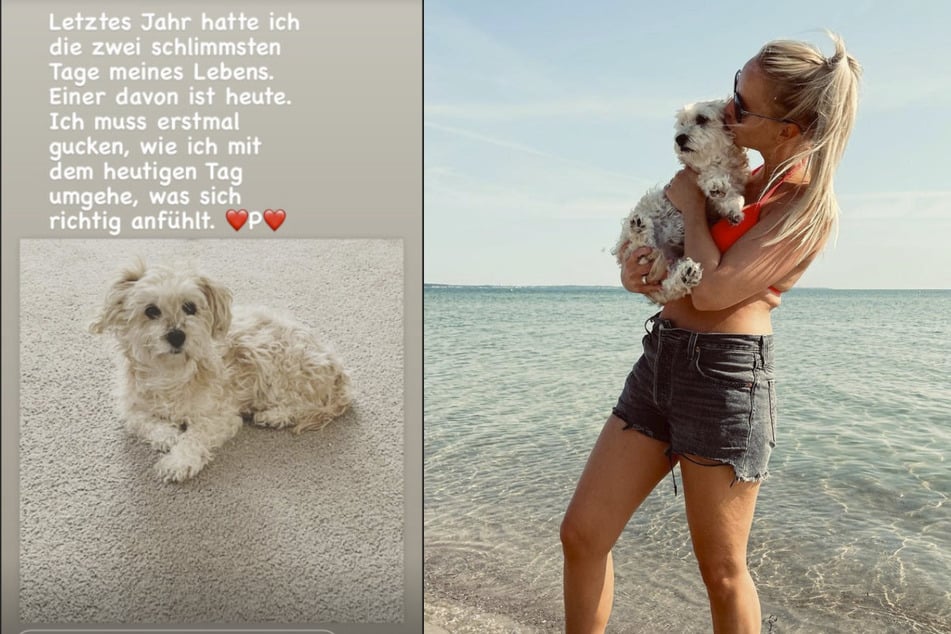 Katharina Dürr (39) trauert um ihren Hund, der 13 Jahre lang Teil der Familie war.