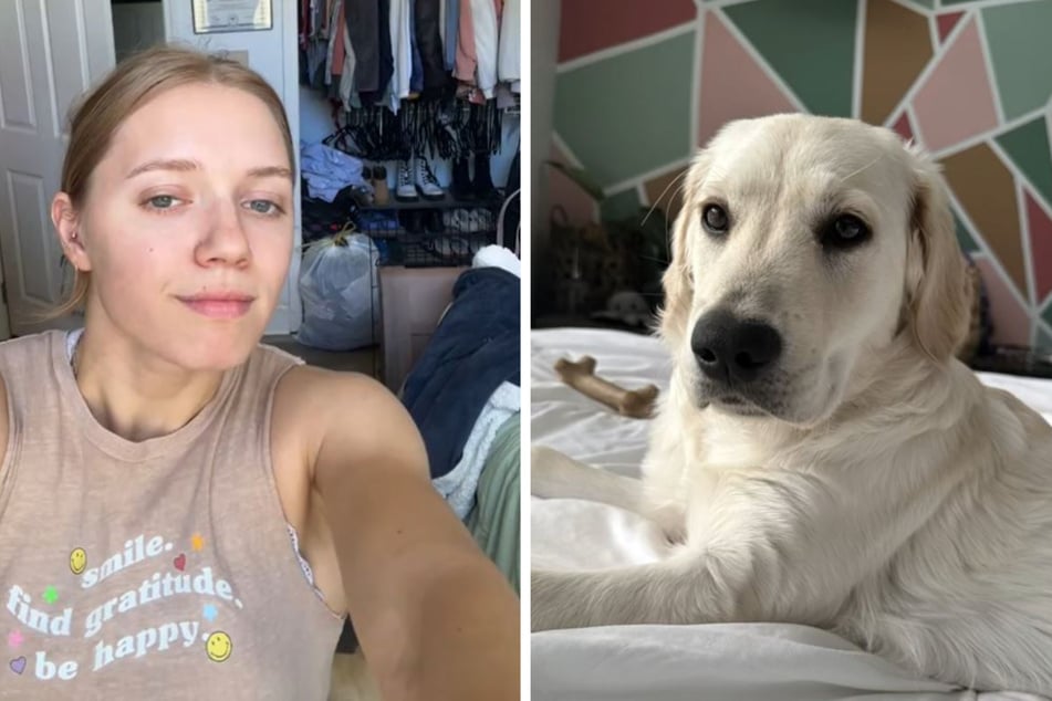 Woman finds her pet stuck in a hilarious place