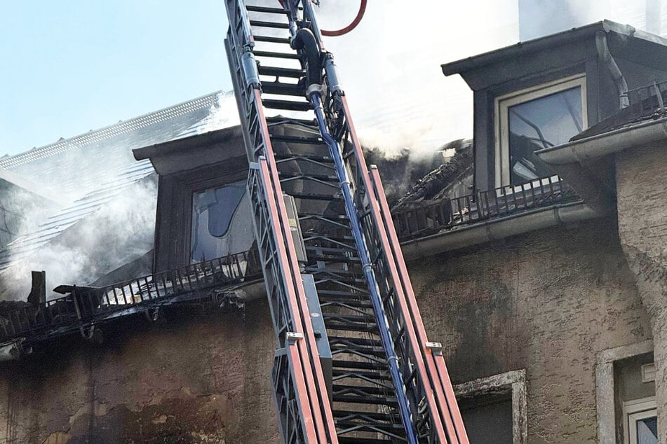 Frankfurt: Wohnhausbrand in Frankfurt: Sechs Verletzte, Sommerhitze erschwert Löscharbeiten