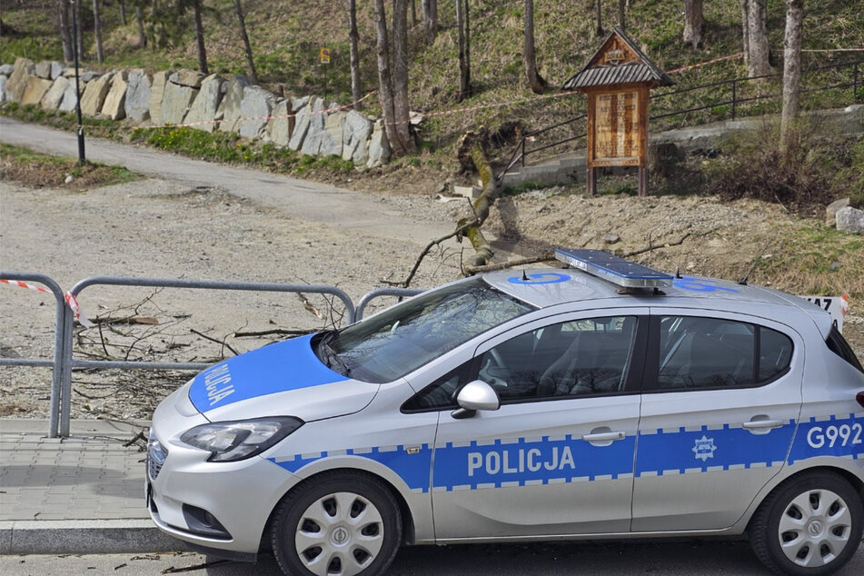 Ein Baum stürzte in Zakopane auf eine Gruppe, die gerade eine Kirche verließ.