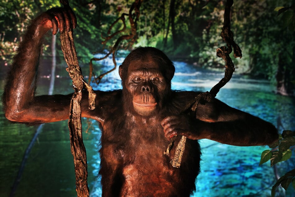 Seit wann der Mensch seine Nacktheit bedeckt, ist umstritten. Funde deuten darauf hin, dass unsere Vorfahren vor 170.000 Jahren begannen, Felle gegen Kälte zu tragen. (Symbolfoto)