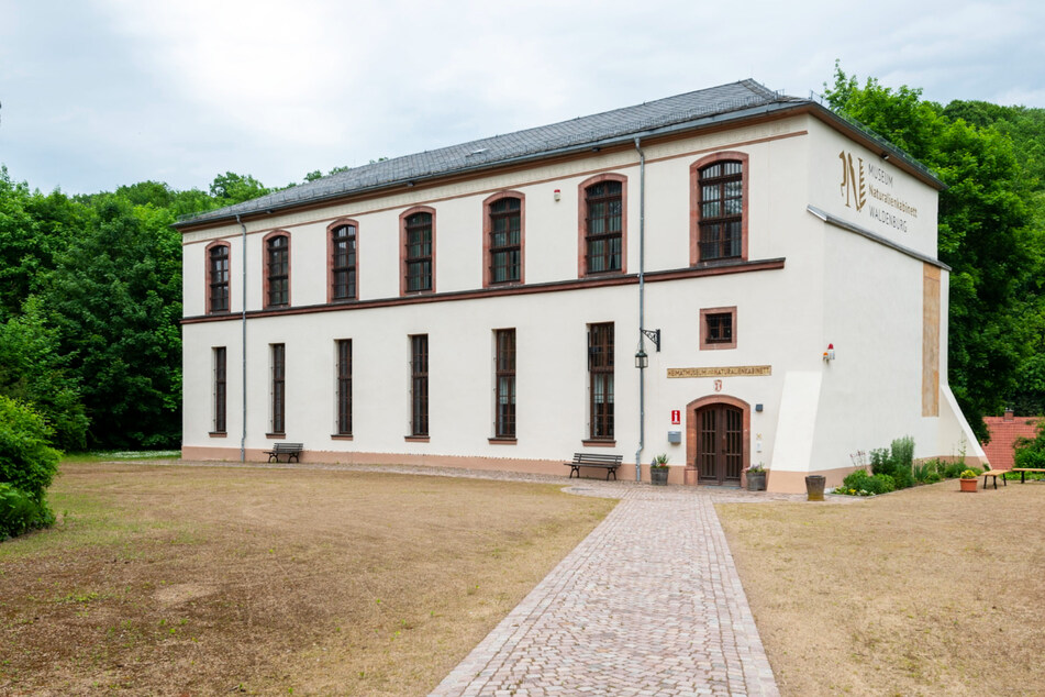Gut 800.000 Euro Zuschuss: Museum Waldenburg wird saniert