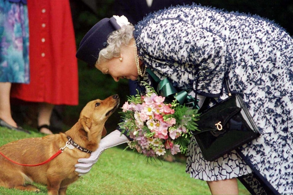 20. Mai 1998: Ein Paar Handschuhe, eine schwarze Handtasche und ein Corgi waren die berühmtesten Accessoires von Königin Elizabeth II.