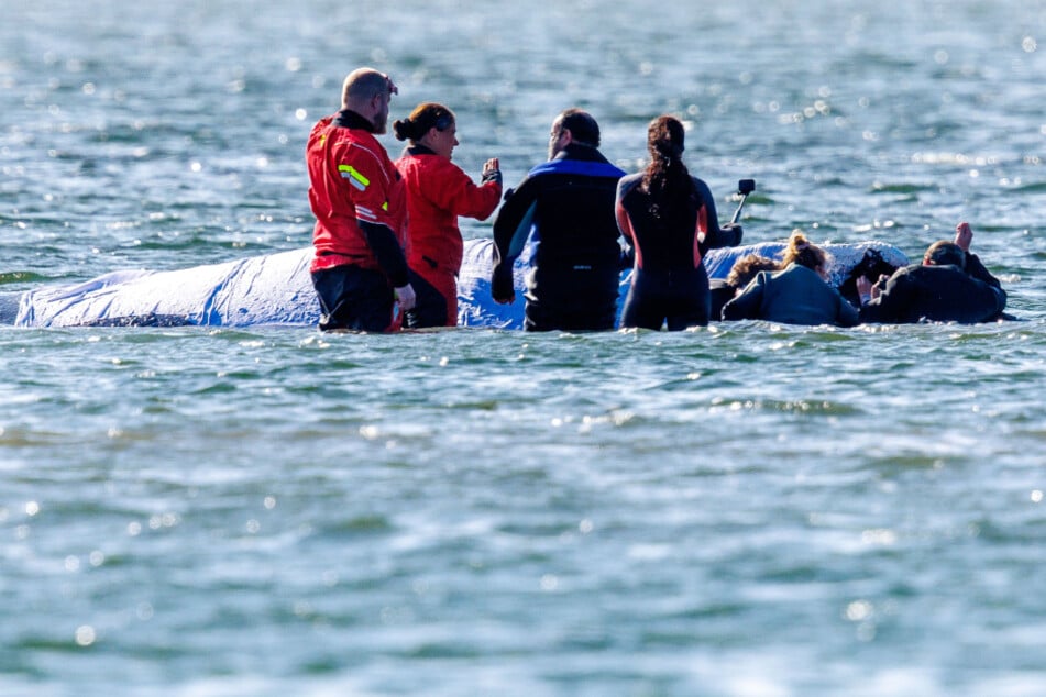 Buckelwal "Timmy": Finales Konzept lässt auf sich warten, Big Bags eingetroffen