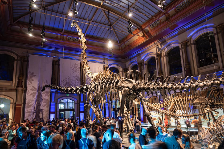 Im Naturkundemuseum sind bei der "Langen Nacht der Museen" am 30. August nicht nur Dinosaurier zu bestaunen.