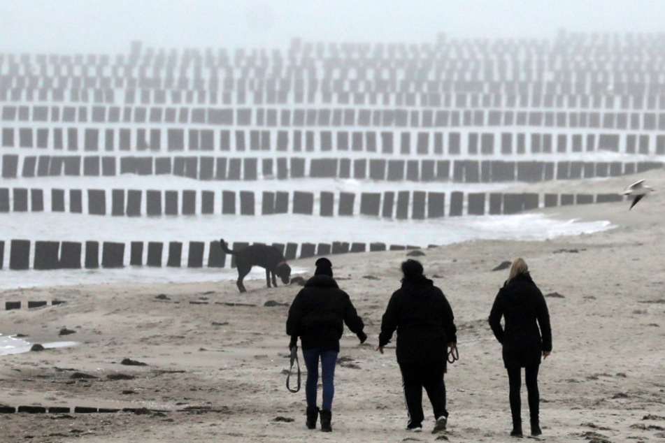 Tod auf der Ostsee für vier Millionen Euro vorgetäuscht: Mann (53) vor Gericht