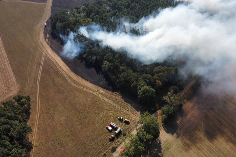 Circa 13 Stunden waren die Einsatzkräfte der Feuerwehr mit der Löschung des Waldbrands beschäftigt.