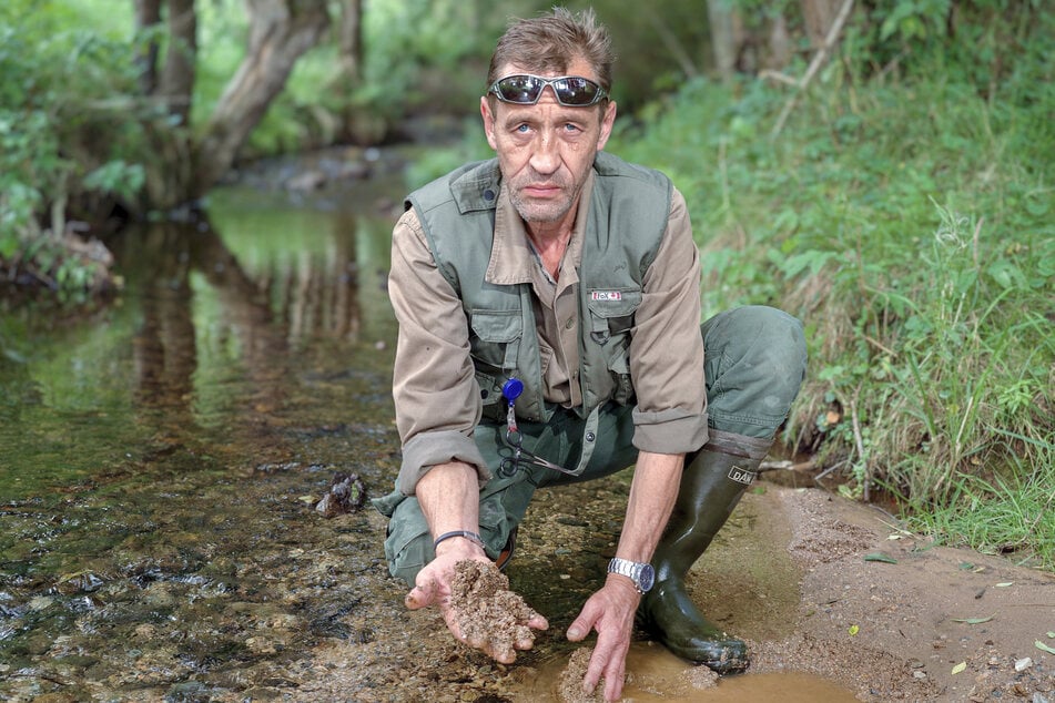 Schlamm-Alarm am Schwarzbach: Alle Fische tot?