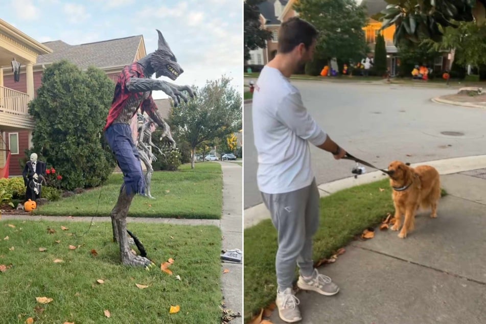 This dog has gone viral for his hilarious reaction to an absurdly creepy Halloween decoration!