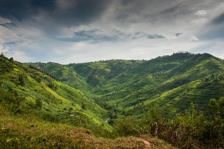 Die unheimliche Entdeckung wurde in den Bergen Ugandas gemacht.