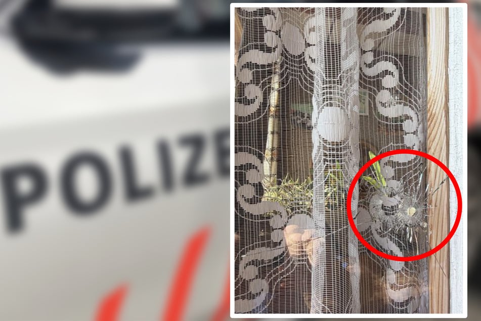Bäuerin will Krähe abschießen - stattdessen trifft sie das Nachbarhaus