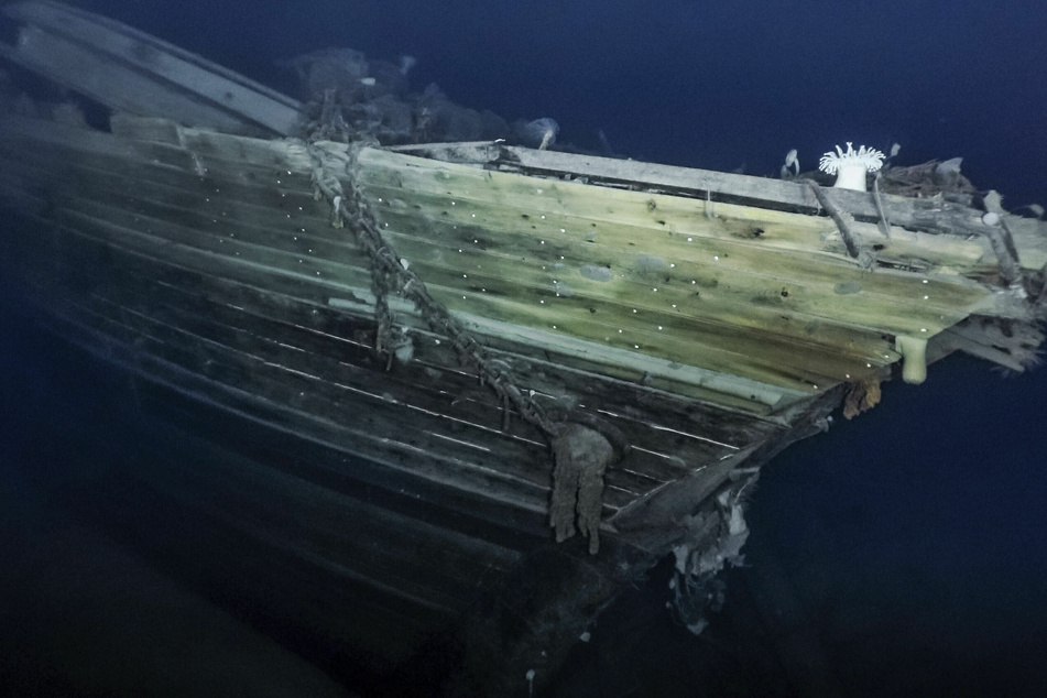 100 Jahre altes Schiffswrack: Deshalb war die Suche nach der "Endurance" so schwierig