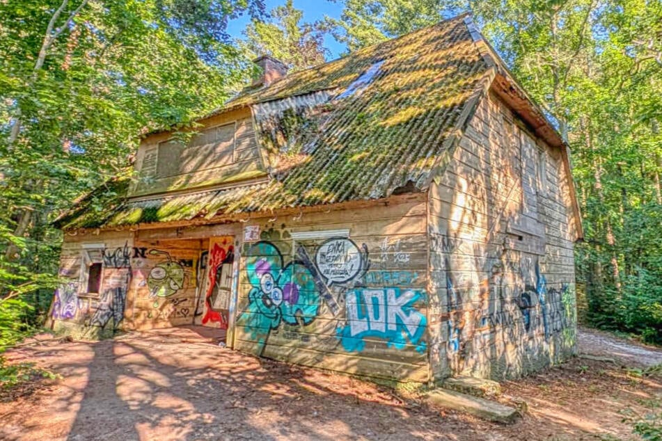 Im Wald, nur 50 Meter vom Strand entfernt, kann dieses Haus für eine Million Euro erworben werden.