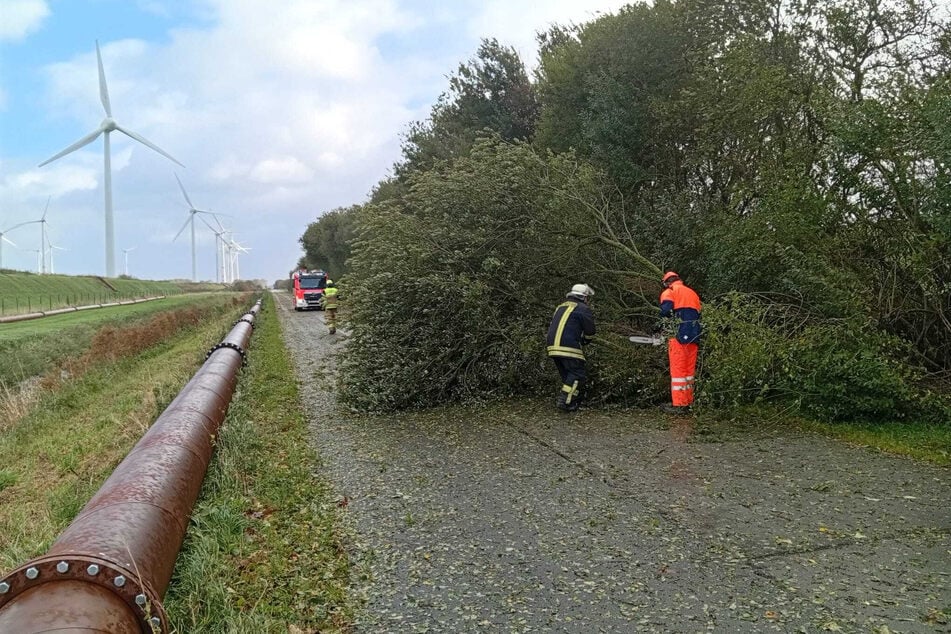 Wegen des stürmischen Wetters sind am Sonntag in Emden mehrere Bäume umgefallen. Die Feuerwehr rückte aus, um die Straßen zu räumen.