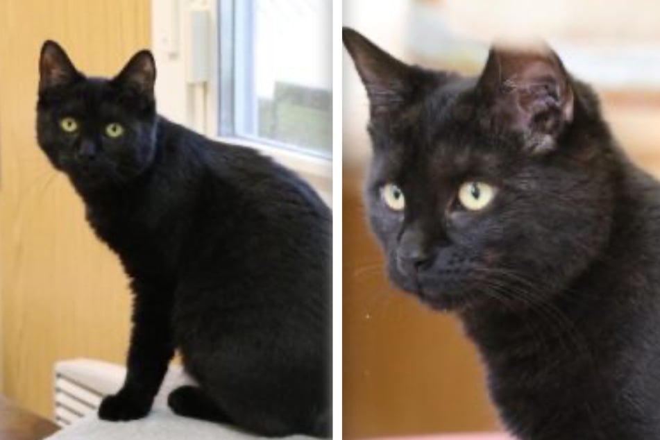 Die sieben Monate alte Carlypso ist etwas sensibel.