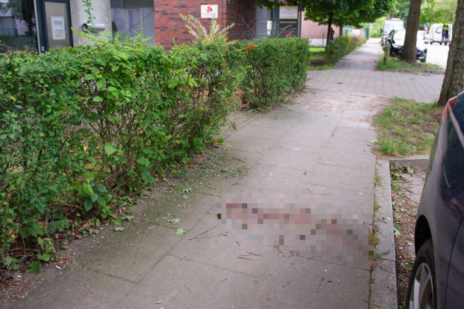 Auf dem Gehweg blieb eine Blutlache zurück.