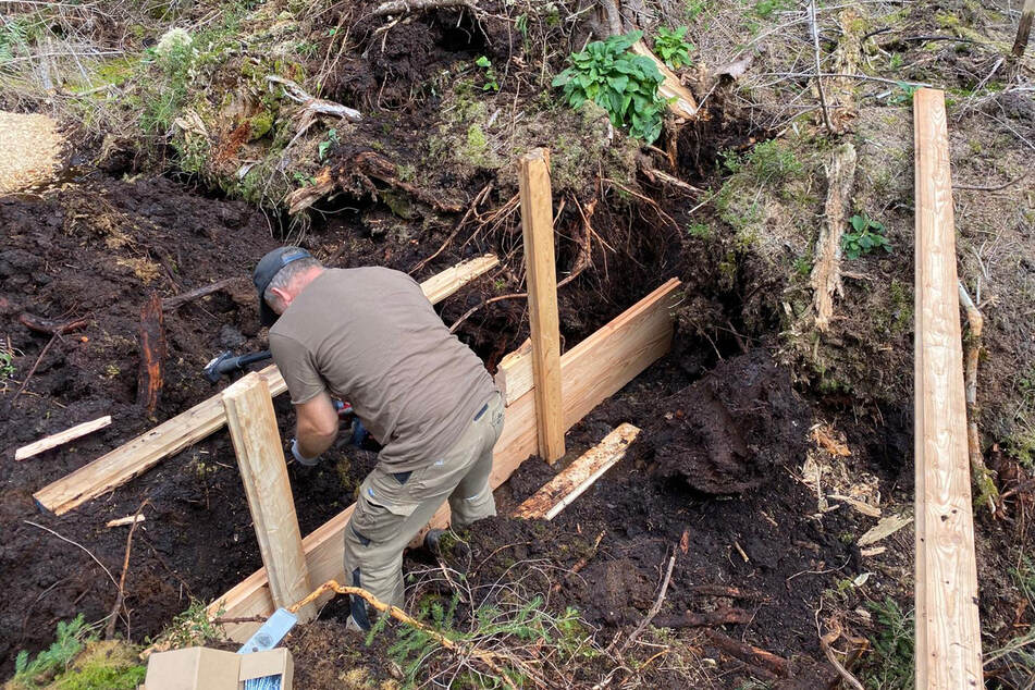 Mit solchen Holzsperren werden die alten Entwässerungsgräben stillgelegt.