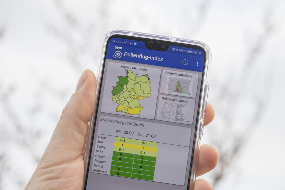 Der Deutsche Wetterdienst bietet seine App kostenlos und ohne Werbung an (Symbolbild).