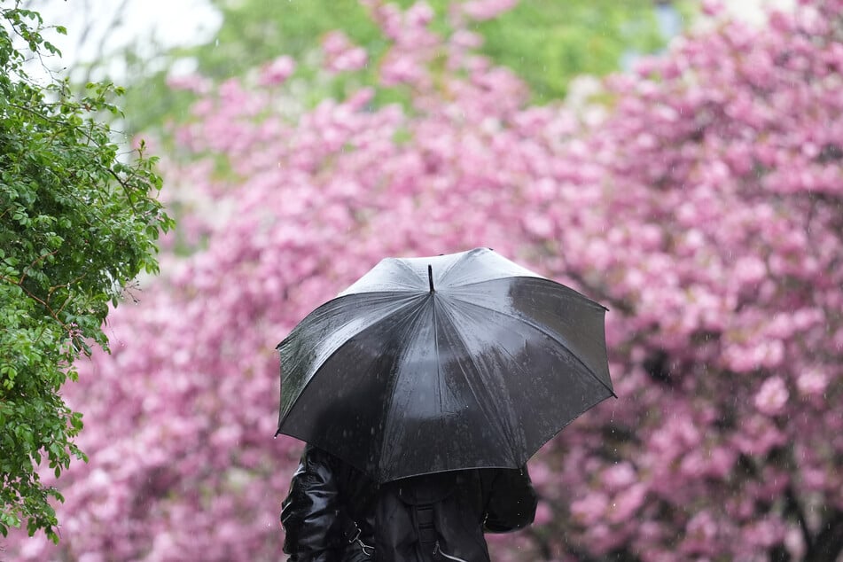 In Hamburg bleibt das Wetter regnerisch. (Symbolbild)