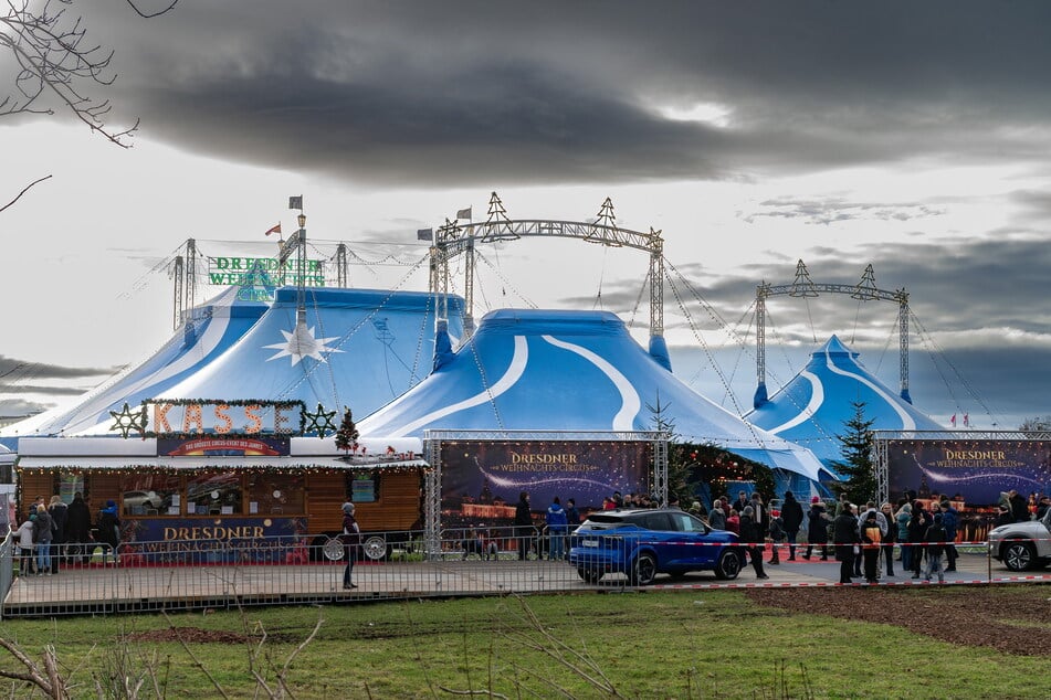 Der Dresdner Weihnachts-Circus kämpft aktuell mit dem Problem überteuerter Eintrittskarten, die bei Viagogo erhältlich sind.