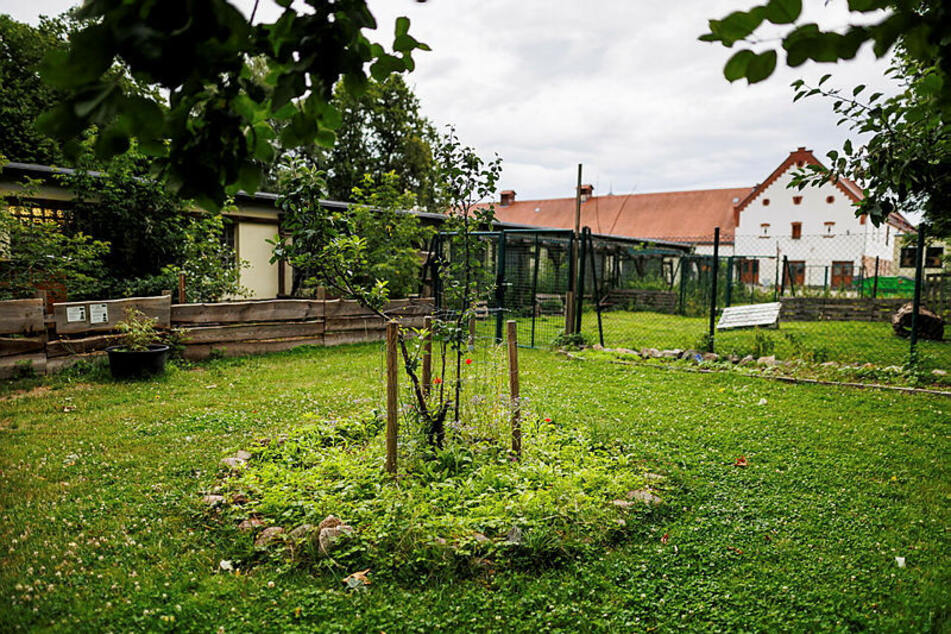 Das großzügig angelegte Landgut in Leipzig-Mölkau ist für die kleinen Landwirte ein Paradies. Arbeit kann auch Spaß machen.