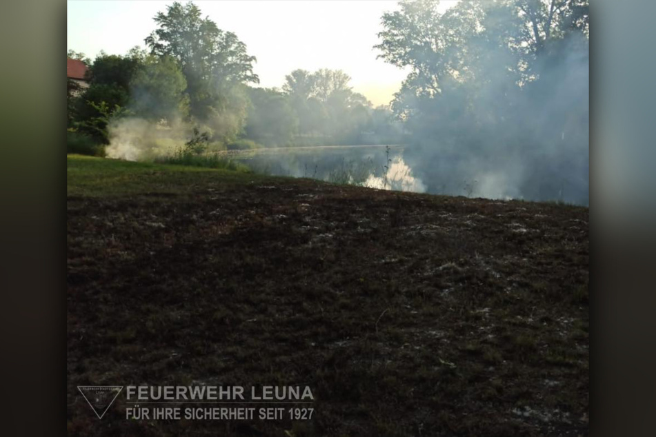 In Leuna brannte am Sonntag eine Grasfläche.