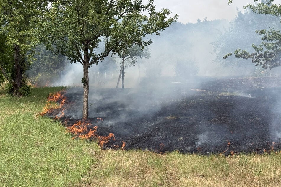 Flächenbrand in Region Stuttgart: Verdächtige (39) in Psychiatrie eingeliefert
