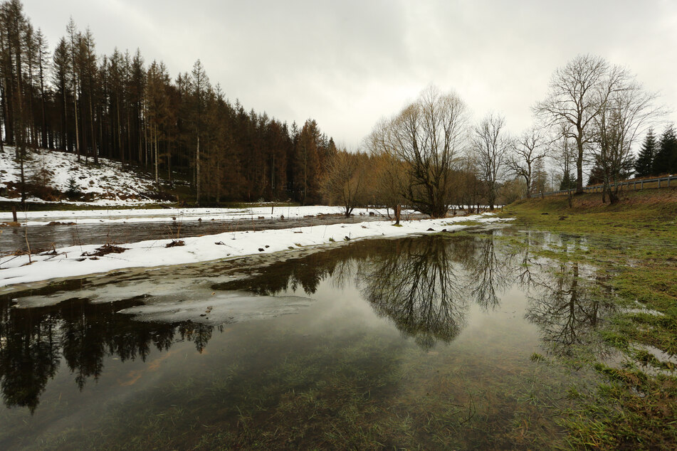 Auf Schnee folgt Tauwetter: Treten nun Sachsen-Anhalts Flüsse über die Ufer?