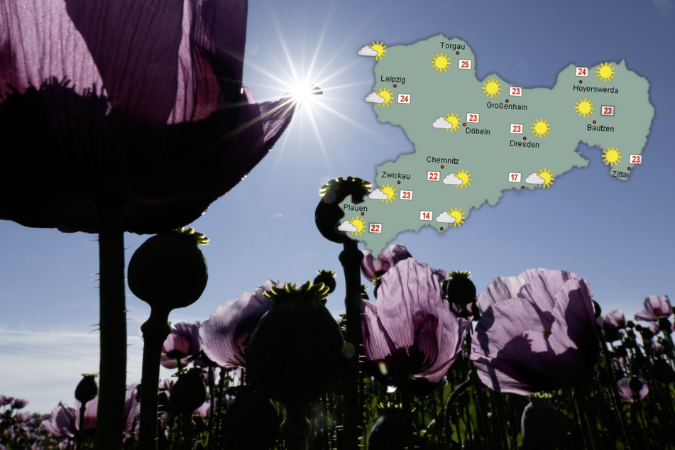 Viel Sonne, kaum Regen: Sachsen, macht Euch auf ein schönes Wochenende bereit!