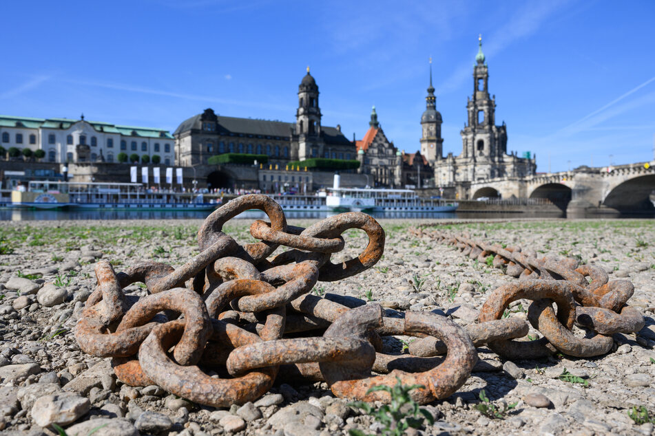 Das ausgetrocknete Elbufer vor der Altstadt von Dresden. Die anhaltende Dürre macht der Natur zu schaffen.