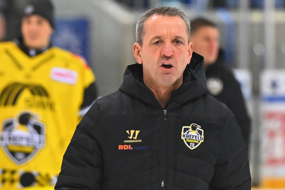 Darf Ex-Eislöwen-Coach Thomas Popiesch mit seinen Pinguinen rauf in die DEL?