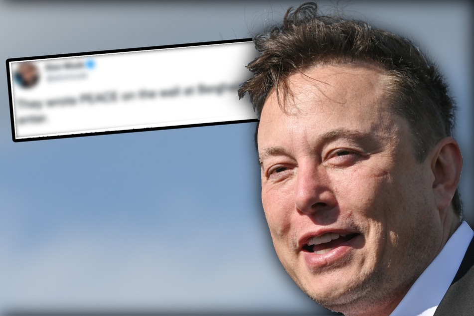 Elon Musk: Twitter-Ansage! Friedensappell von Berliner Berghain passt Elon Musk nicht in den Kram