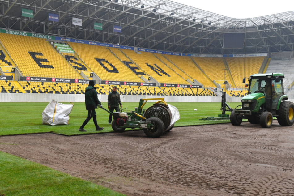 Zuletzt wurde der Rasen im Rudolf-Harbig-Stadion im Januar dieses Jahres ausgetauscht.
