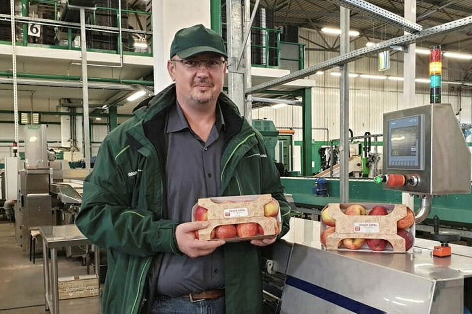 Umweltschonend: Sachsenobst gibt's jetzt auch in der Pappe