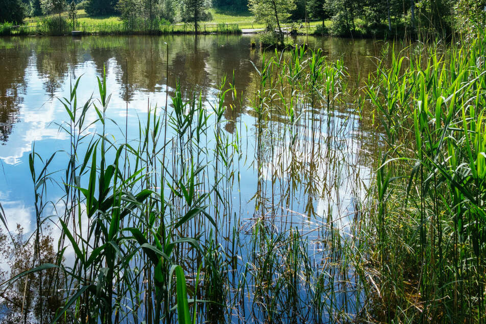 In Hessen soll es extrem heiß werden, ein Badesee ist da für viele eine willkommene Abkühlung. Doch Achtung: Vor einigen Seen in Hessen wird gewarnt! (Symbolfoto)