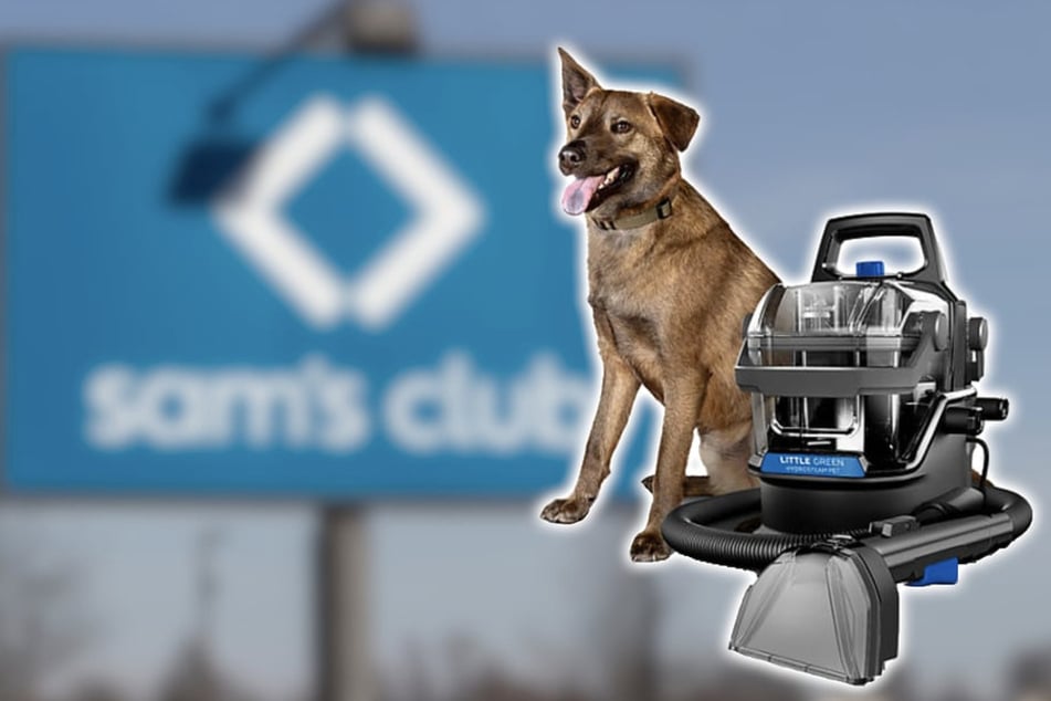 Sam's Club has the cheapest prices for this portable deep cleaner