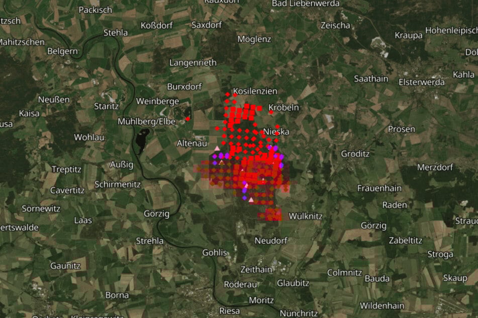 Inzwischen hat sich das Wildfeuer in der Gohrischheide auf eine Fläche von 1000 Hektar ausgedehnt.