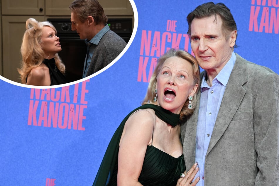 ¡La relación entre Pamela Anderson y Liam Neeson sería falsa!