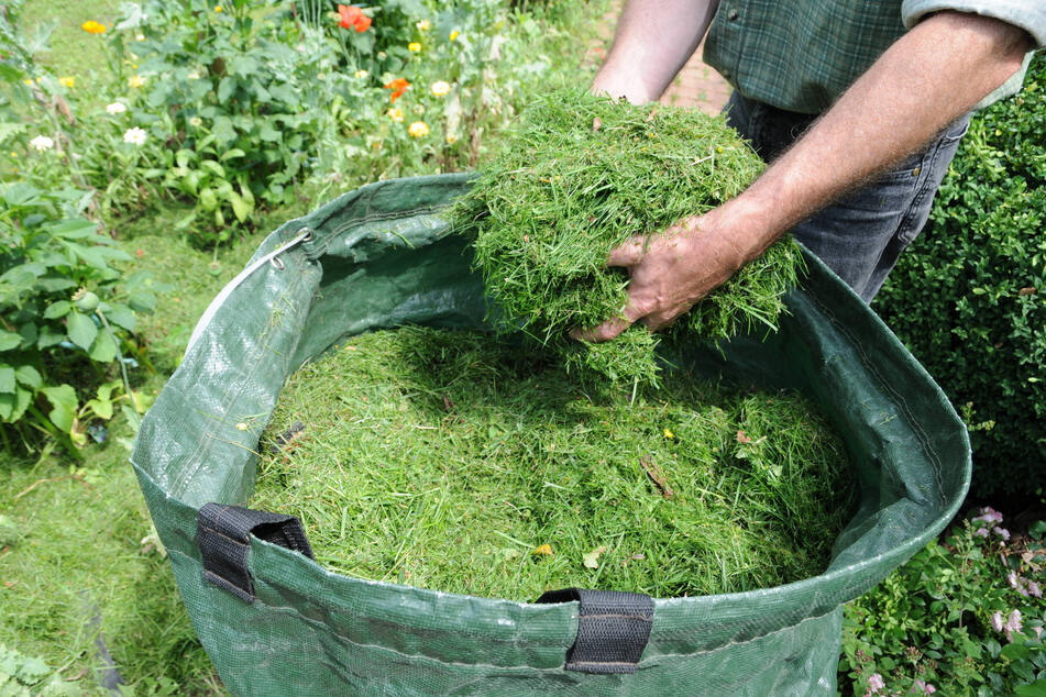Mit einem Mulchmäher oder einem geeigneten Rasenmäher ist das Rasenmulchen ganz einfach.