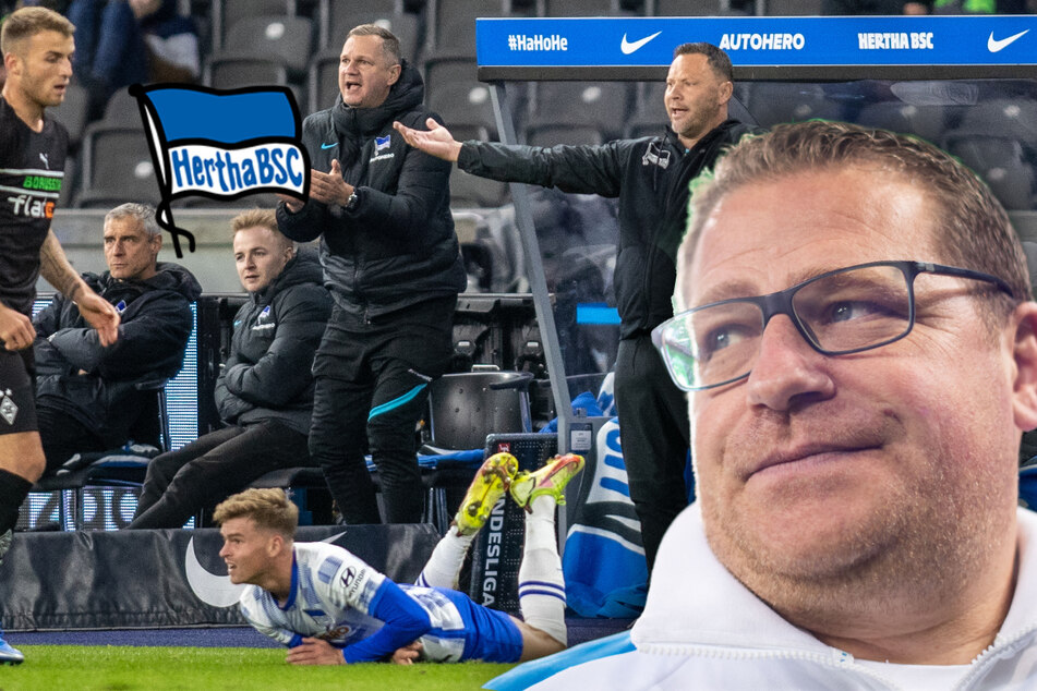 Bank-Zoff bei Hertha-Sieg, Eberl blafft Friedrich an: "Halt's Maul, Arne!"