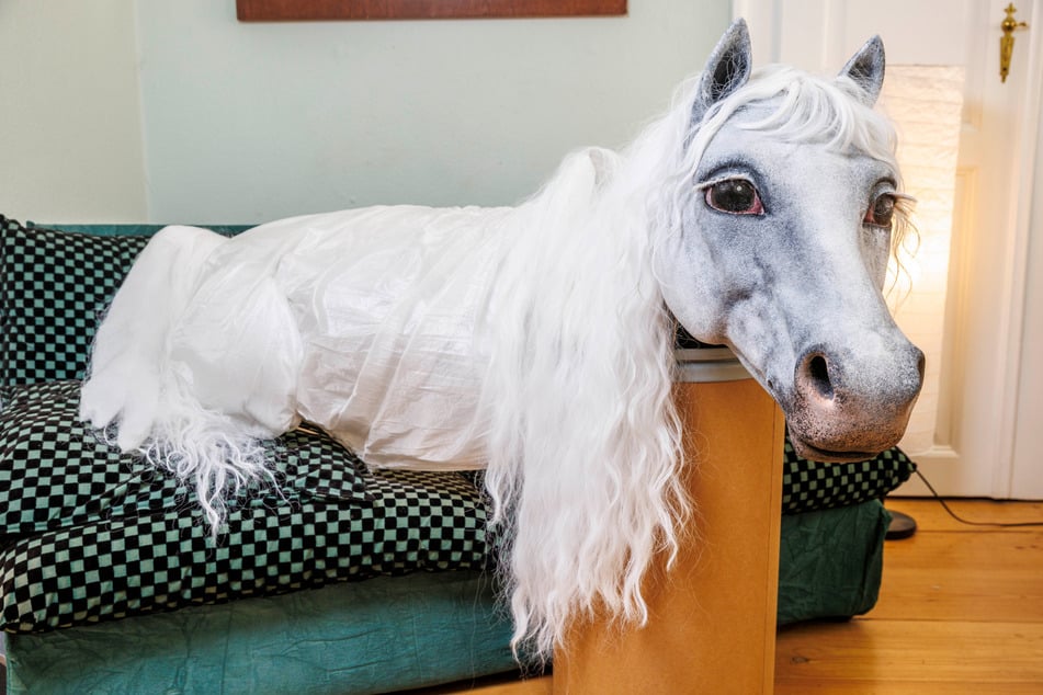 Der Schimmel Artax ruht sich bis zu seiner Vollendung auf dem Sofa von Ella Späte aus.