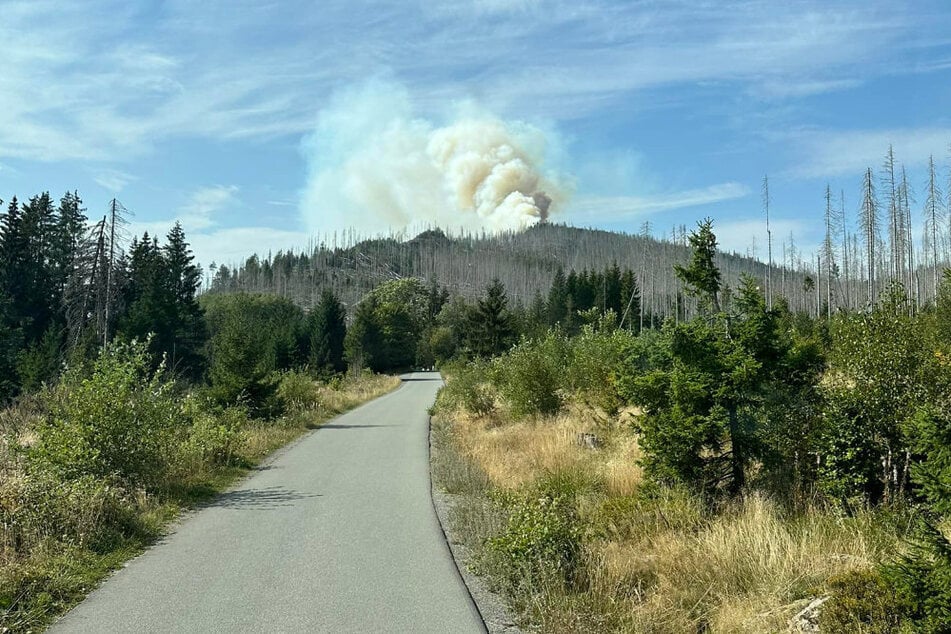 Am Königsberg im Harz brach am Freitagnachmittag ein Großbrand aus.