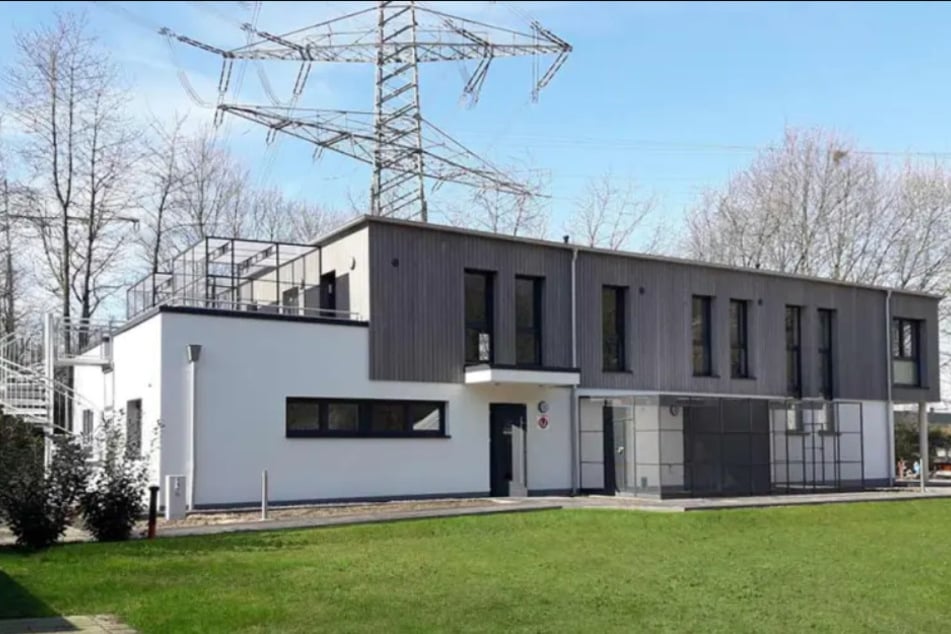 Aus dem Tierheim Bergheim will Katze Momo schon bald zurück ins Leben von lieben hilfsbereiten Menschen ziehen.