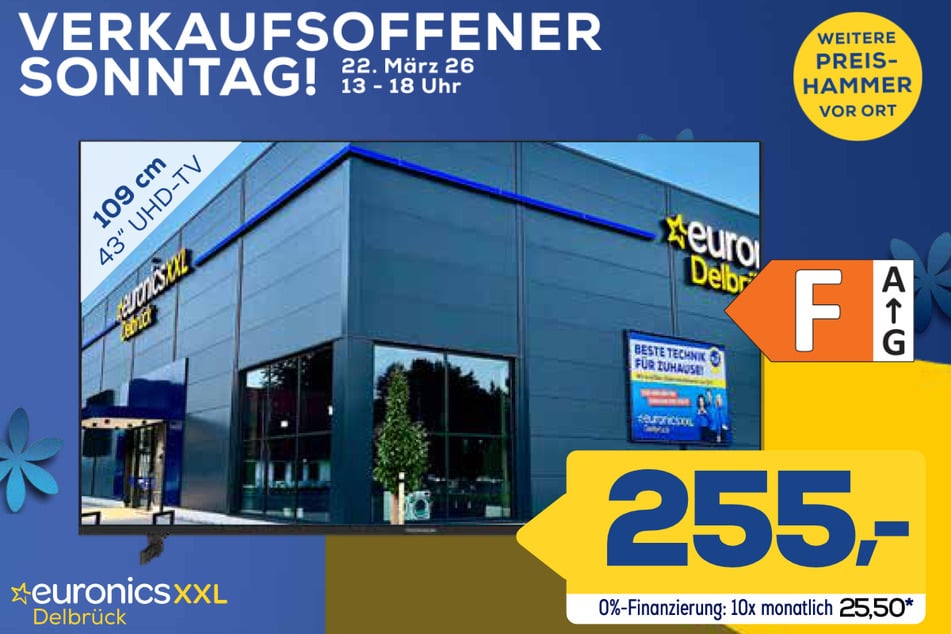 43-Zoll Thomson-Fernseher 43UG4S15 für 255 Euro.